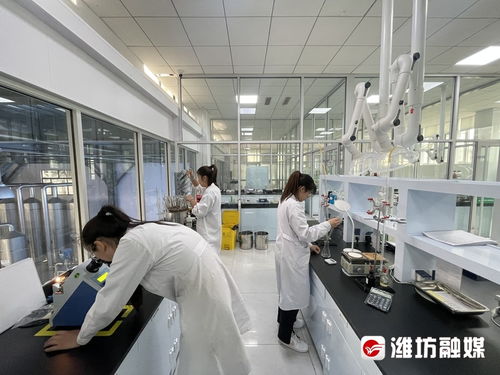 搶風口 布賽道 濰坊諸城以技術開發為核心，加速生物制造產業發展